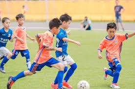 2026年国际足联世界杯 天然草地上打造健康身心——绿色室外体育健身器材全面解析！